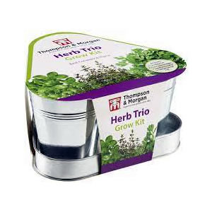 Herb Trio Pots