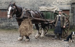 Store man and horse © Allendale Co-operative Society Ltd