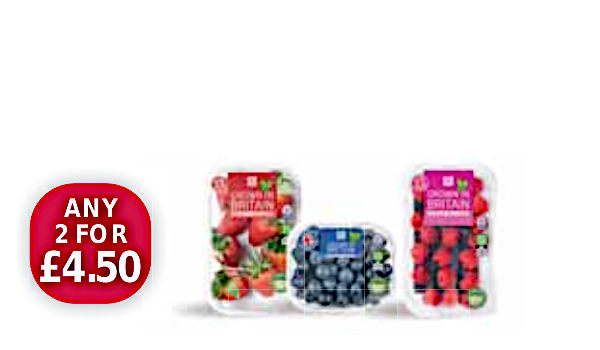 Summer Berries